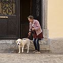 Walking with my dog (21)